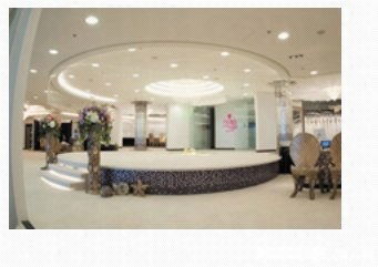 芝柏一站式服務 婚紗攝影、新娘化妝與禮服租賃，記錄您的完美瞬間